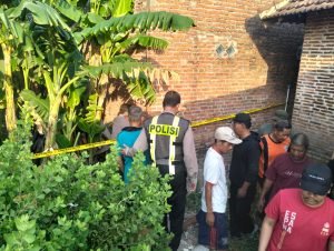 WhatsApp Image 2024-10-30 at 16.26.54