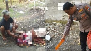 InCollage_20241123_224420149