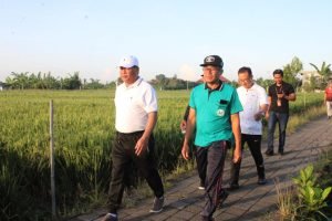 WhatsApp Image 2024-11-02 at 18.54.26