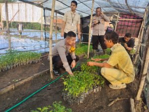 WhatsApp Image 2024-11-06 at 15.04.16