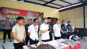 WhatsApp Image 2024-11-11 at 19.08.11