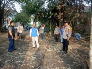 WhatsApp Image 2024-11-13 at 23.25.32