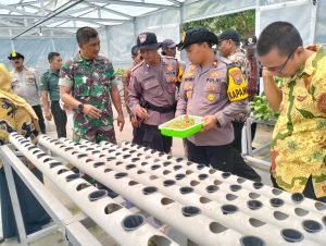 WhatsApp Image 2024-11-14 at 15.29.32