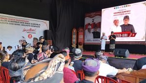 WhatsApp Image 2024-11-14 at 20.55.58