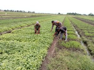 WhatsApp Image 2024-11-16 at 18.11.35