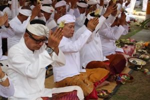 WhatsApp Image 2024-11-16 at 19.14.55