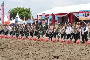 WhatsApp Image 2024-11-20 at 17.26.23