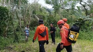 WhatsApp Image 2024-11-21 at 19.24.10