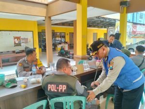 WhatsApp Image 2024-11-27 at 15.53.31