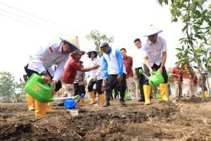 WhatsApp Image 2024-11-27 at 17.56.40