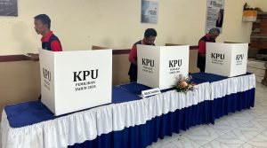 WhatsApp Image 2024-11-28 at 00.22.27