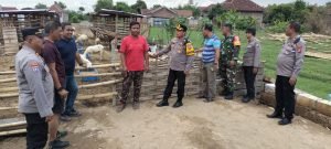 WhatsApp Image 2024-11-29 at 16.52.01