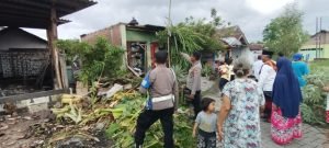 WhatsApp Image 2024-11-29 at 21.40.57