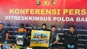 WhatsApp Image 2024-11-29 at 23.40.46