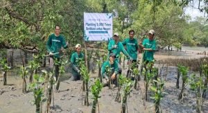 Dedikasi untuk Negeri, Bank Indonesia X LindungiHutan (Sumber VRITIMES.com)