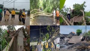 InCollage_20241210_001002757