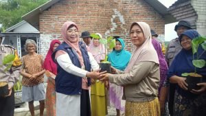 WhatsApp Image 2024-12-11 at 17.09.23 (1)