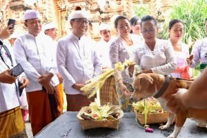 WhatsApp Image 2024-12-14 at 17.45.55