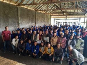 WhatsApp Image 2024-12-16 at 17.58.24