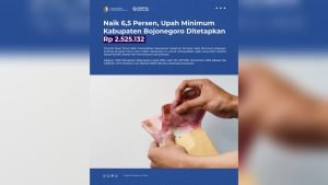 WhatsApp Image 2024-12-19 at 16.03.49