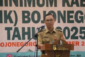 WhatsApp Image 2024-12-30 at 15.01.09