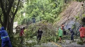 Screenshot_20250112_131730_WhatsAppBusiness