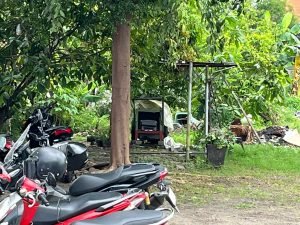 WhatsApp Image 2025-01-02 at 21.09.51