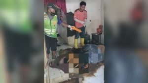 WhatsApp Image 2025-01-04 at 17.09.41