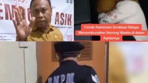 WhatsApp Image 2025-01-08 at 19.39.48