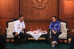 WhatsApp Image 2025-01-09 at 17.13.04