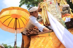 WhatsApp Image 2025-01-14 at 18.45.32