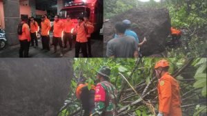 WhatsApp Image 2025-01-20 at 07.58.00