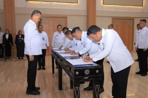 WhatsApp Image 2025-01-20 at 19.54.35