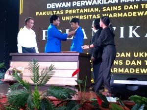 WhatsApp Image 2025-01-20 at 23.33.11