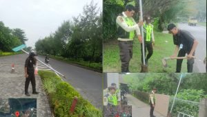 InCollage_20250201_214710300