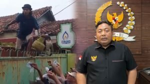 InCollage_20250203_232843345