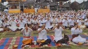 Screenshot_20250213_104704_Gallery