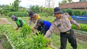 WhatsApp Image 2025-02-01 at 16.29.39