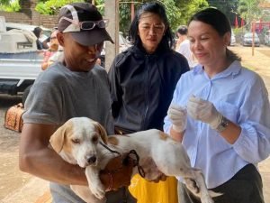 WhatsApp Image 2025-02-05 at 18.50.59