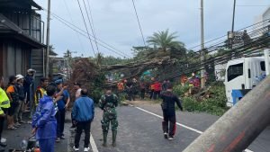 WhatsApp Image 2025-02-10 at 19.23.19