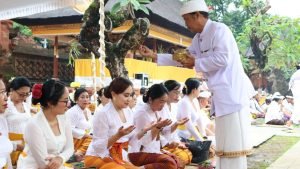 WhatsApp Image 2025-02-12 at 18.41.11