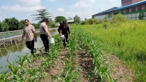 WhatsApp Image 2025-02-15 at 14.59.52