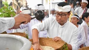 WhatsApp Image 2025-02-15 at 18.29.37