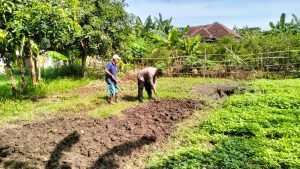 WhatsApp Image 2025-02-16 at 21.50.35