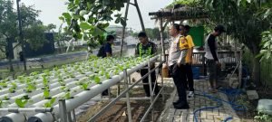 WhatsApp Image 2025-02-19 at 22.37.28