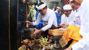 WhatsApp Image 2025-02-22 at 18.42.46