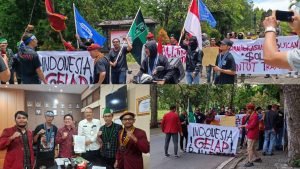 WhatsApp Image 2025-02-27 at 14.51.39