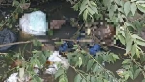 WhatsApp Image 2025-02-28 at 09.27.48