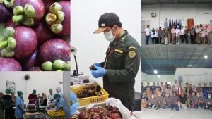 InCollage_20250319_171731276