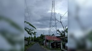 Screenshot_20250303_114106_InCollage - Collage Maker